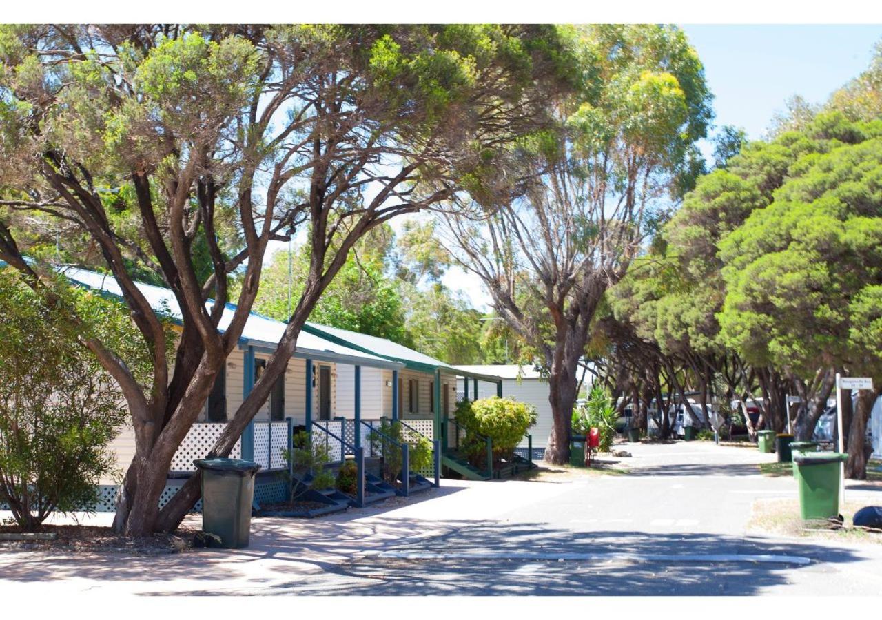 Discovery Parks - Coogee Beach エクステリア 写真